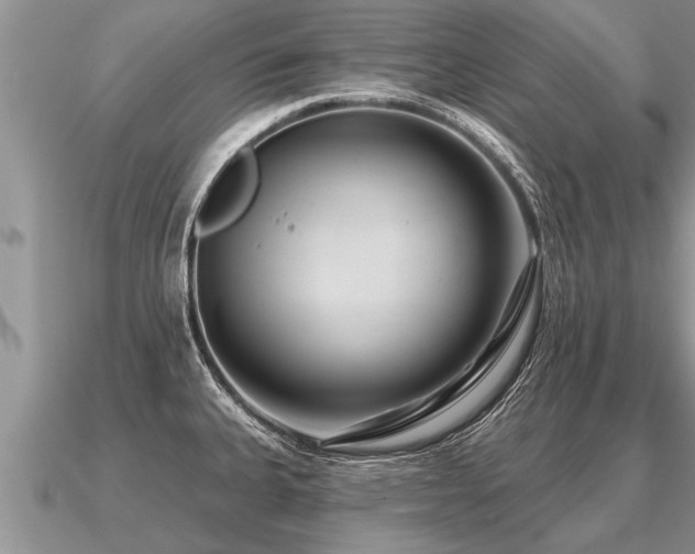 X0000091091335200708061629