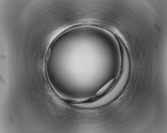 X0000091091336200708061629