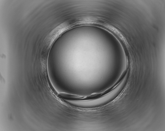 X0000091091337200708061629