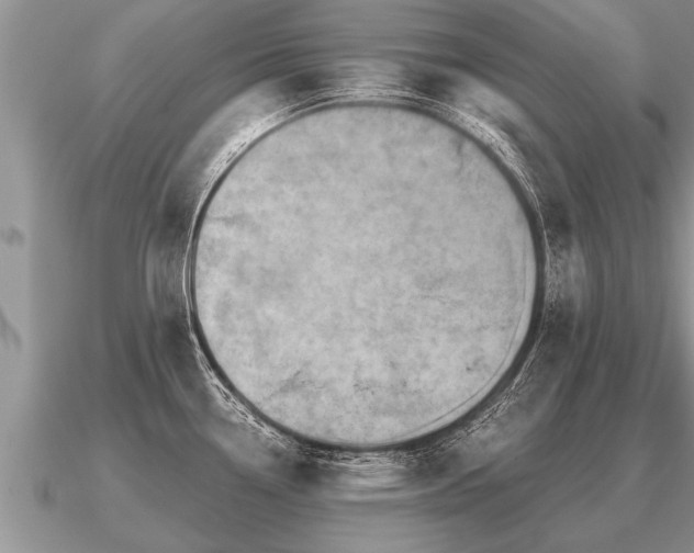 X0000091091338200708061629