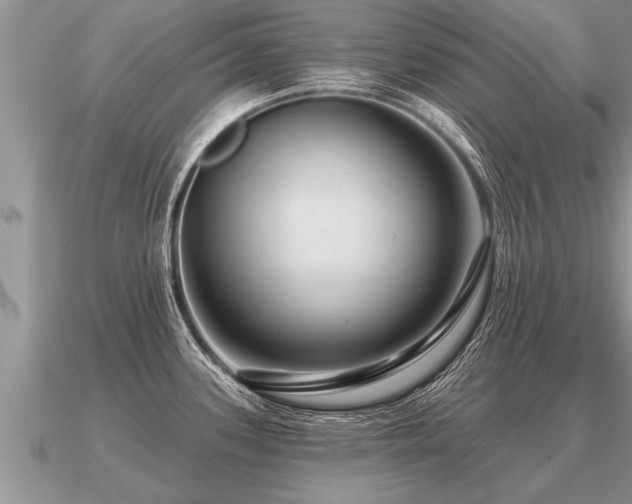 X0000091091339200708061629
