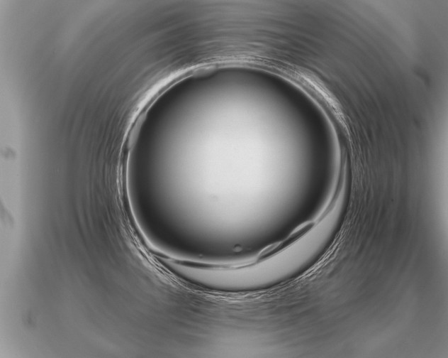 X0000091091340200708061629