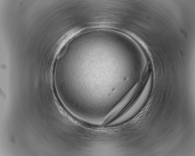 X0000091091341200708061629