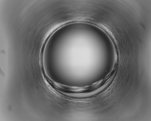 X0000091091342200708061629