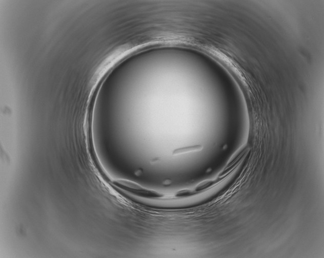 X0000091091343200708061629