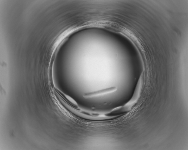 X0000091091344200708061629