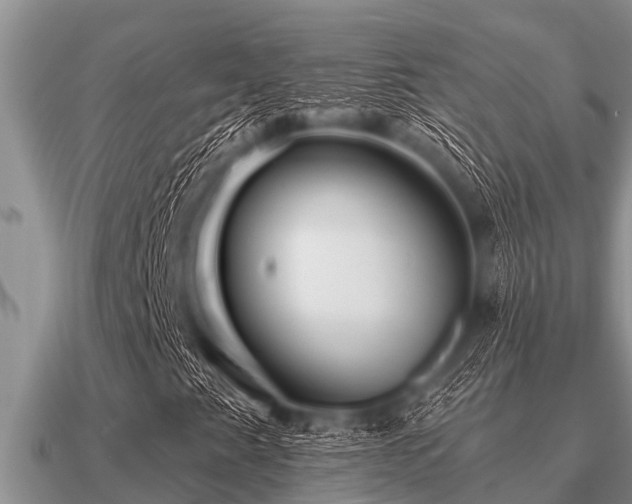 X0000091091345200708061628