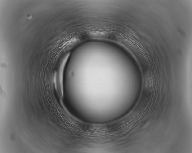 X0000091091346200708061628