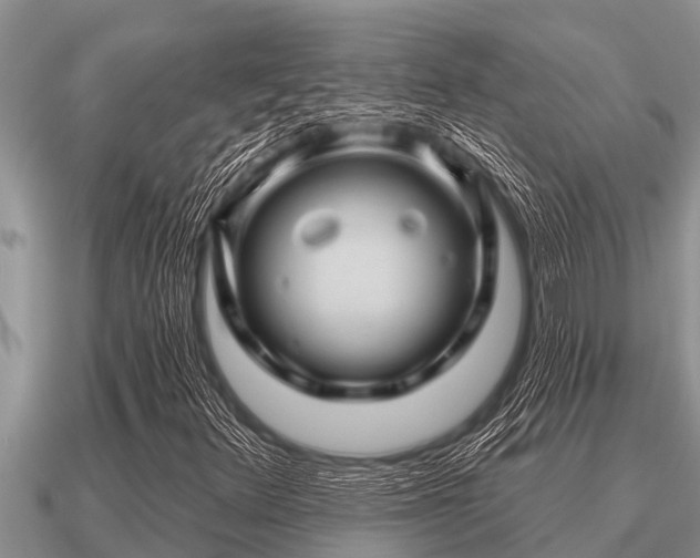 X0000091091348200708061628