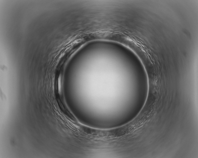 X0000091091349200708061628