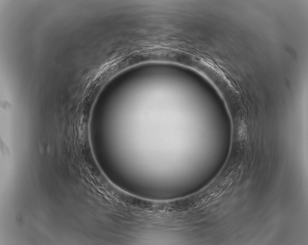 X0000091091350200708061628