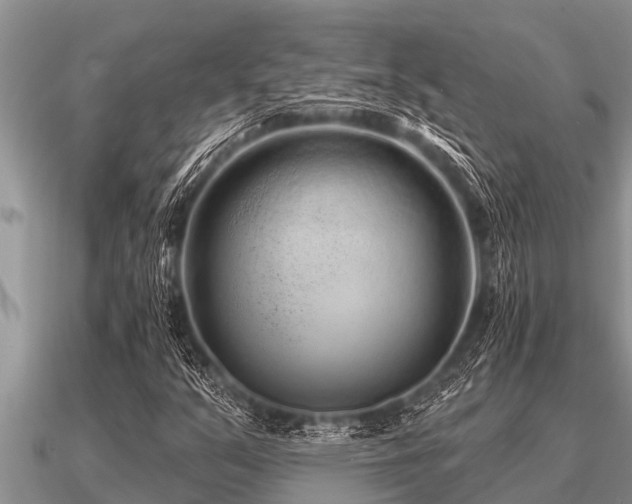 X0000091091351200708061628