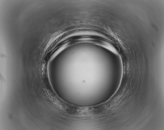 X0000091091352200708061628