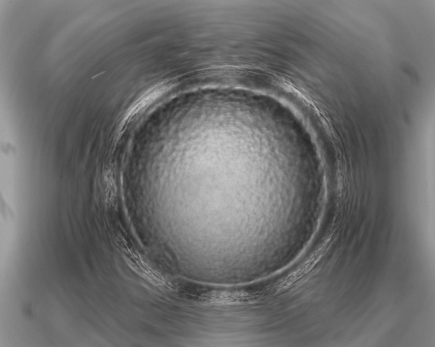 X0000091091354200708061628