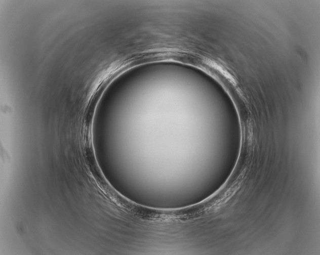 X0000091091357200708061628
