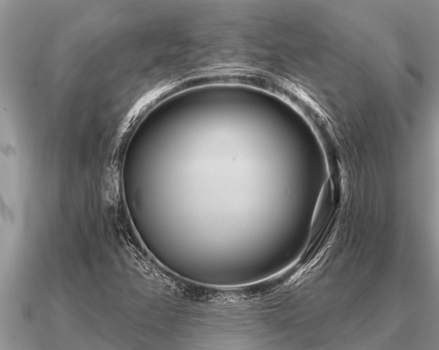 X0000091091358200708061628