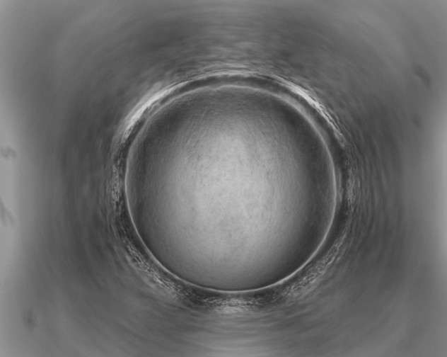 X0000091091359200708061628