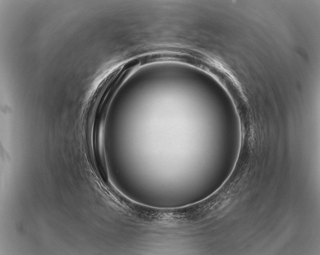 X0000091091360200708061628