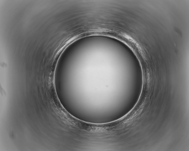 X0000091091361200708061628