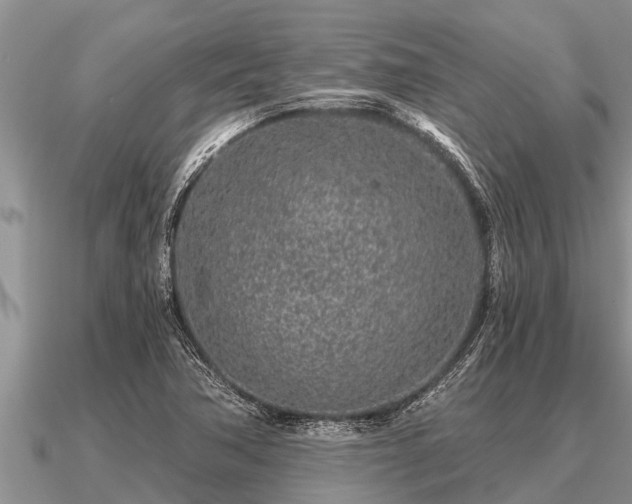X0000091091362200708061628