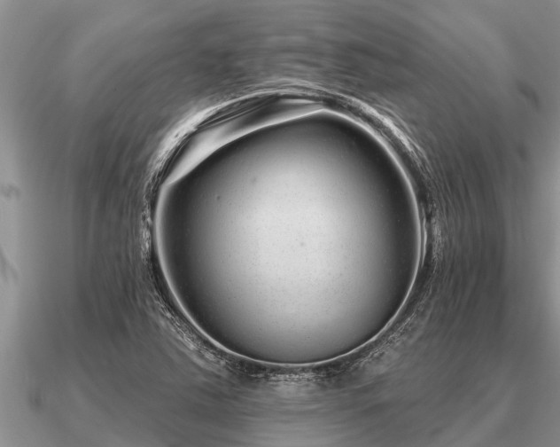 X0000091091363200708061628