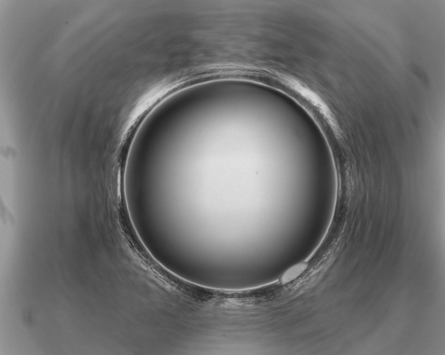 X0000091091365200708061628