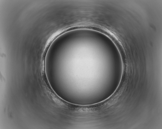 X0000091091366200708061628