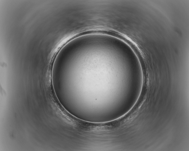 X0000091091367200708061628