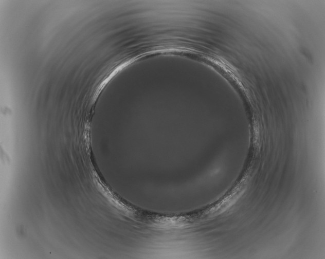 X0000091091369200708061628