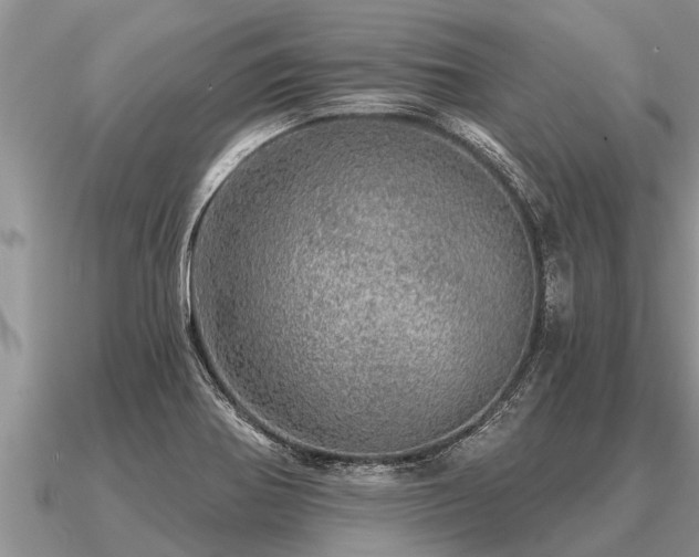 X0000091091370200708061628
