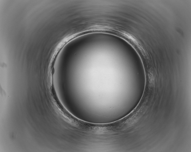 X0000091091371200708061628
