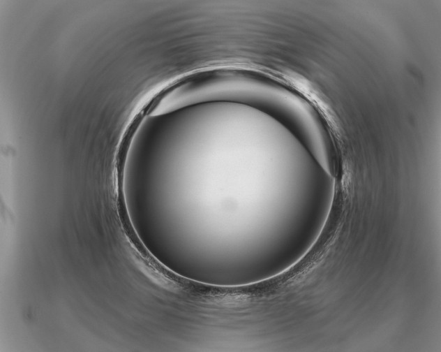 X0000091091372200708061628