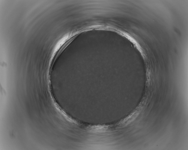 X0000091091373200708061628