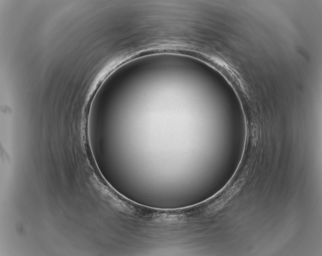 X0000091091374200708061628