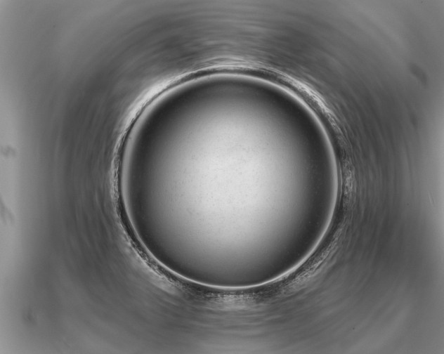 X0000091091375200708061628