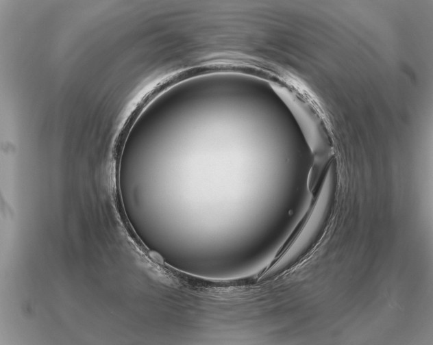 X0000091091376200708061628