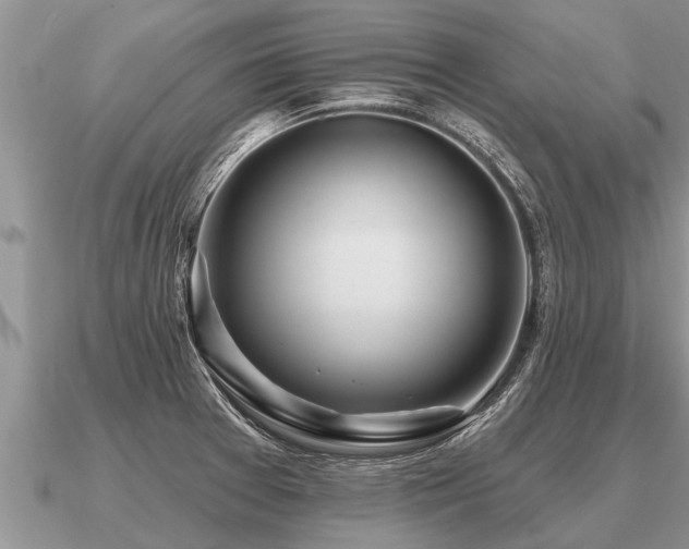X0000091091377200708061628