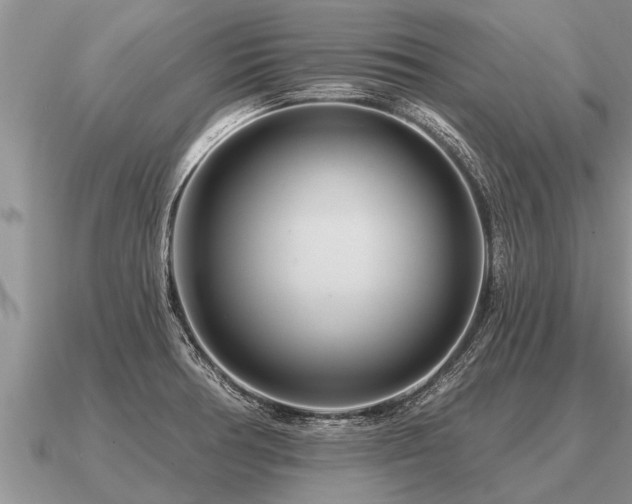 X0000091091378200708061628