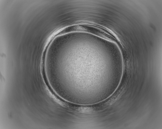 X0000091091379200708061628