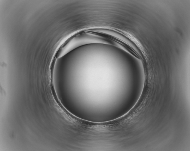 X0000091091380200708061628