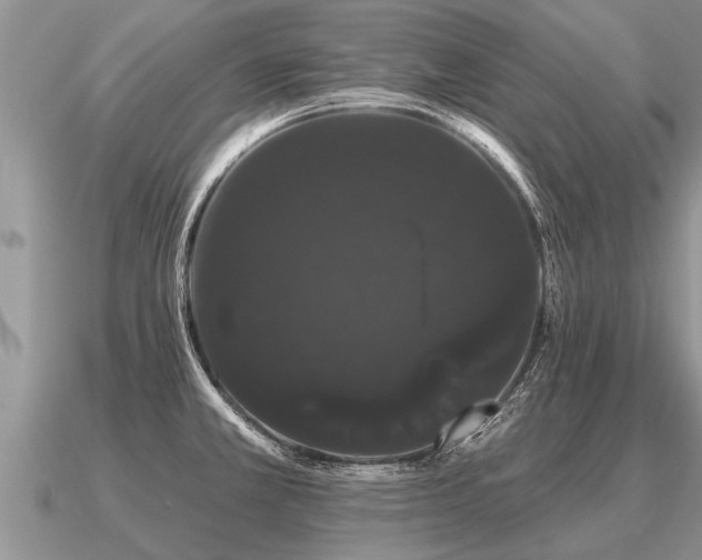 X0000091091381200708061628