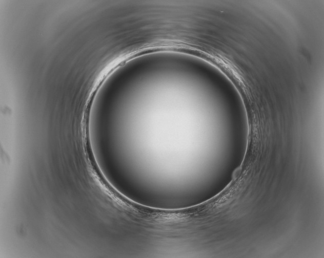 X0000091091382200708061628