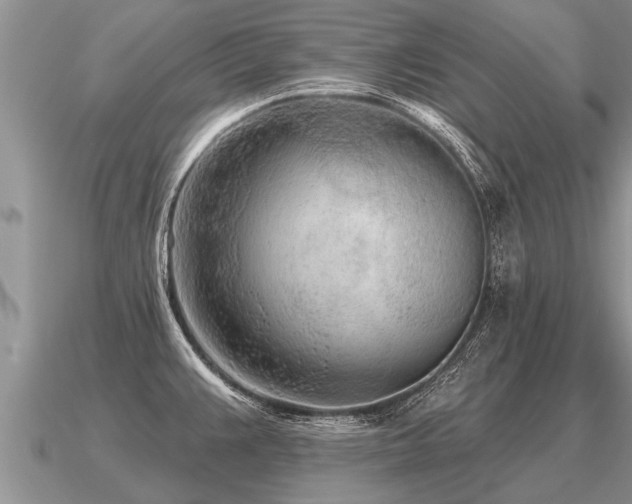 X0000091091383200708061628
