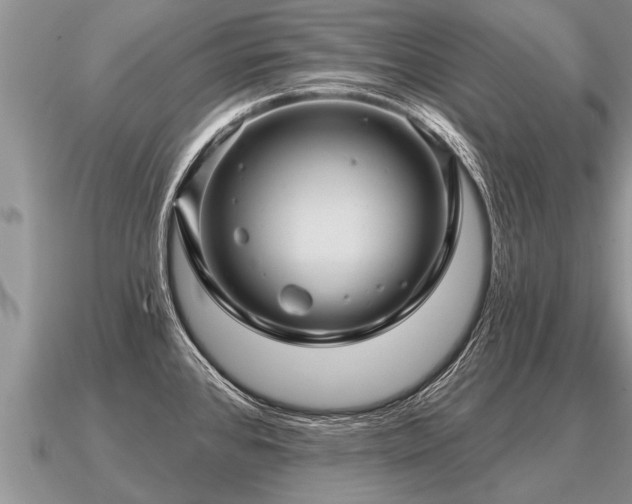 X0000091091384200708061628