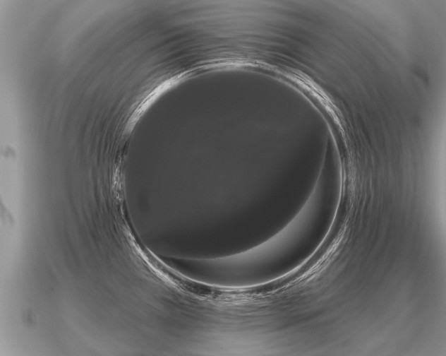 X0000091091385200708061628