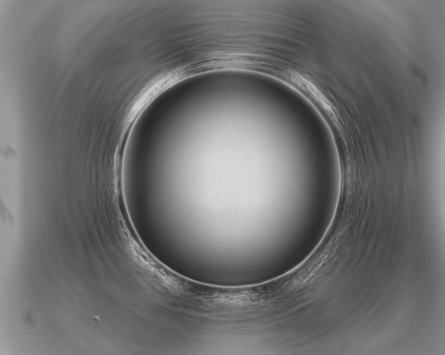 X0000091091386200708061628