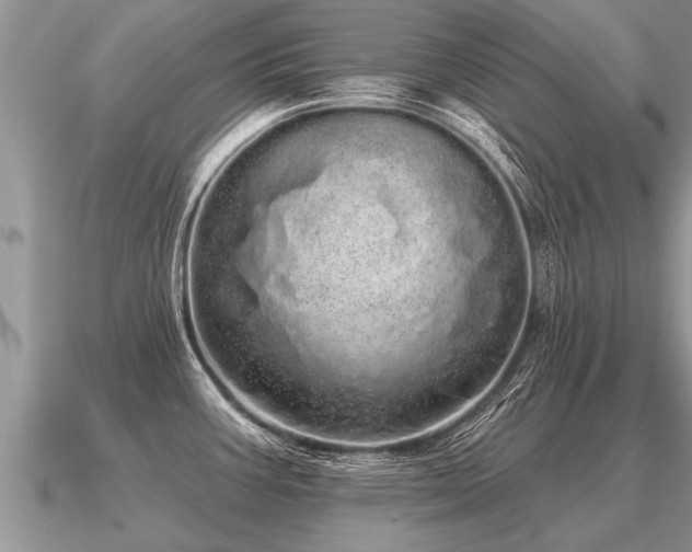 X0000091091387200708061628