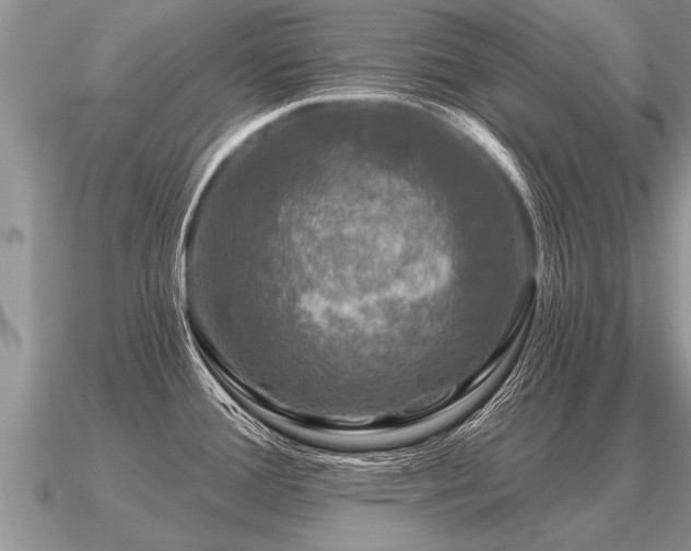 X0000091091388200708061628