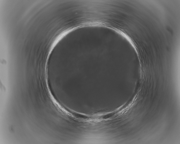 X0000091091389200708061628
