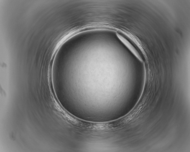 X0000091091390200708061628